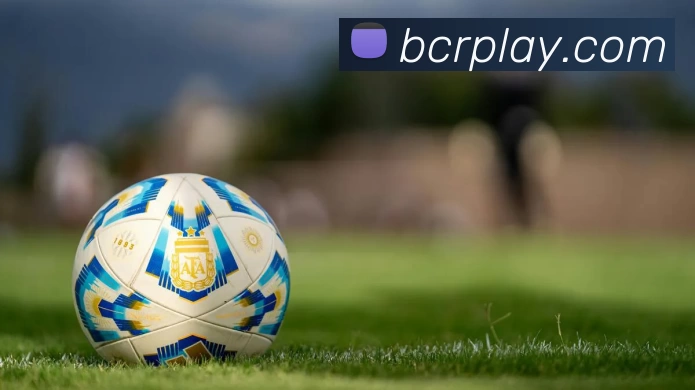 BCR娱乐城官网服务体系